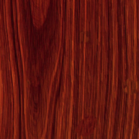 Macro Oak Wood